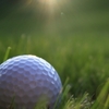 Tiger Woods PGA TOUR 13