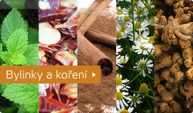 Katalog bylinek a koření