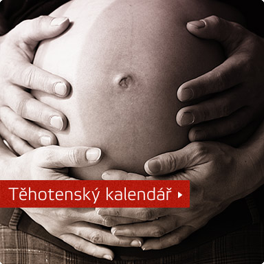 Těhotenský kalendář