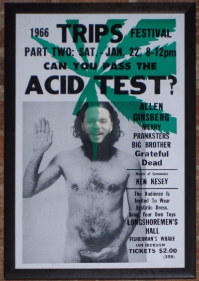 Can You Pass the Acid Test? Fake Poster.