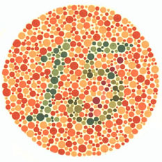 Ishiharův test