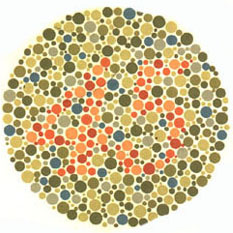 Ishiharův test