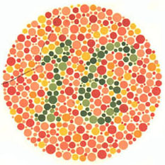 Ishiharův test