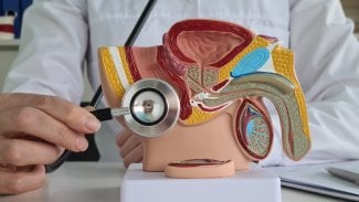 Vasektomie a sterilizace může být i na pojišťovnu. Ale jen hodně výjimečně
