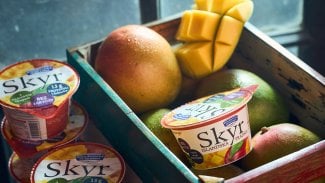 Mlékárenský výrobek roku 2026: jogurt s matchou, skyr s mangem i pomazánkové s příchutí budapešť