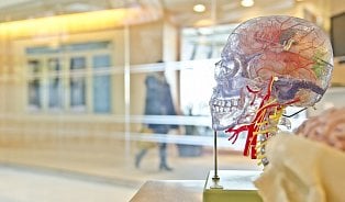 Když léky a režim nestačí. Centra pro epilepsie léčí těžké případy