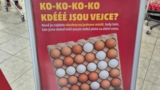 Lidé nemohou v obchodech najít vejce. Řetězce je navigují info cedulkami