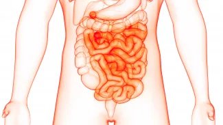 Deset let od první transplantace střeva: V IKEM se připravují na děti a živé dárce