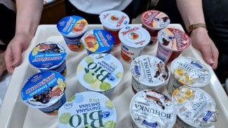 Proteinová zmrzlina s čočkovou moukou nadchla. Pribináček nezaujal