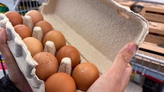 Vejce za sedm až osm korun už je normou. A cena nejspíš dolů nepůjde
