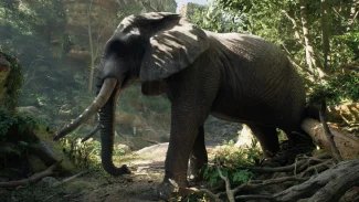 Za slony do pralesa. Nemocným dětem pomáhá virtuální realita, ke které nepotřebují speciální brýle