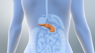 Nepříjemné vyšetření může zachránit život lidem s vysokým rizikem rakoviny slinivky