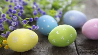 Velikonoční vajíčka symbolizují nový život. Zkuste recept na vaječné placky, plněná či pštrosí vejce