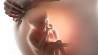 Vědci našli mikroplasty v placentě i plodové vodě