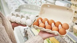 Obchodníci: S klecovými vejci skončíme ještě letos. Nereálné, tvrdí drůbežáři