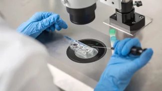 „Ze zkumavky“ se narodí každé třicáté dítě. Pojišťovny hradí až čtyři pokusy IVF