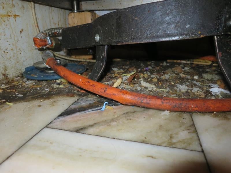 Rychlé občerstvení: Minh Tuan Bui, ASIA BISTRO, Svitavy. Zjištěné skutečnosti: Výskyt myšího trusu, výrazně zanedbaný úklid, výrazné znečištění všech prostor, nečistoty na regálech či zařízeních, prostory provozovny využívány i pro činnosti nesouvisející s provozováním potravinářského podniku