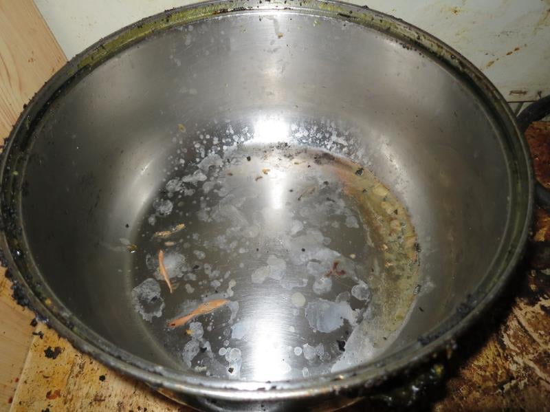 Rychlé občerstvení: Minh Tuan Bui, ASIA BISTRO, Svitavy. Zjištěné skutečnosti: Výskyt myšího trusu, výrazně zanedbaný úklid, výrazné znečištění všech prostor, nečistoty na regálech či zařízeních, prostory provozovny využívány i pro činnosti nesouvisející s provozováním potravinářského podniku