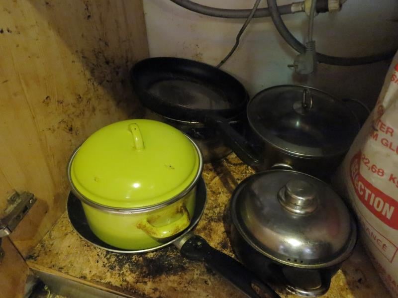 Rychlé občerstvení: Minh Tuan Bui, ASIA BISTRO, Svitavy. Zjištěné skutečnosti: Výskyt myšího trusu, výrazně zanedbaný úklid, výrazné znečištění všech prostor, nečistoty na regálech či zařízeních, prostory provozovny využívány i pro činnosti nesouvisející s provozováním potravinářského podniku