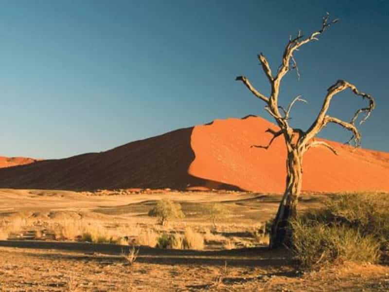 2010-03-namibie-prc3a1zdnc3a1-zemc49b-se-spoustou-atrakcc3ad-2.j