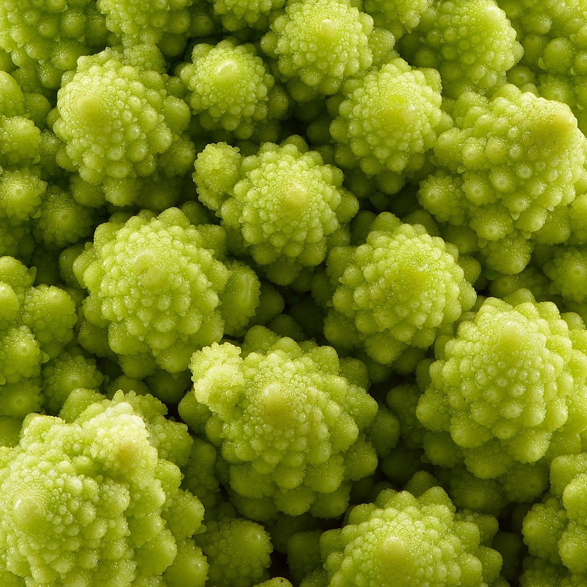 Romanesco broccoli