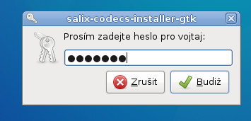 Salix: podpora jazyků a kodeků