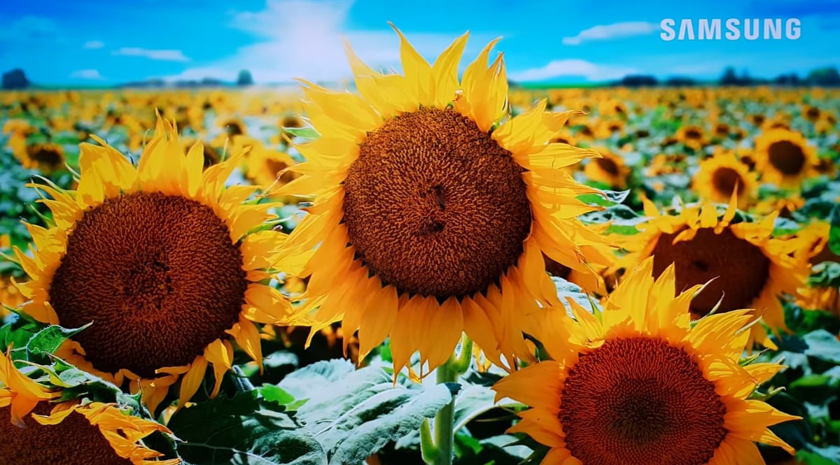 Přehrávání videa na Egreat M15