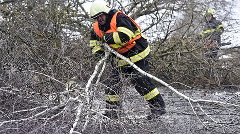 Náhledový obrázek - Orkán Sabine poničila Lesům ČR 950 tisíc kubíků dřeva, škoda dosáhne až 300 milionů korun