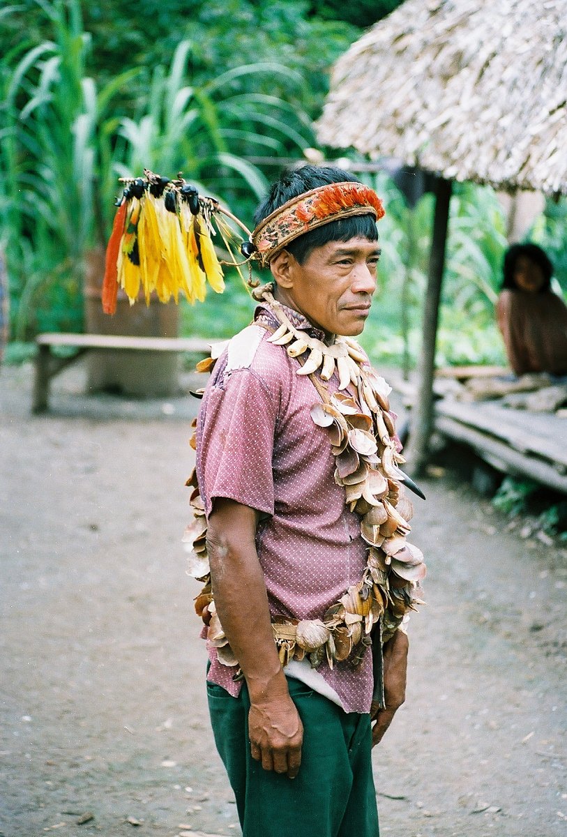 Ayahuasca - liána smrti