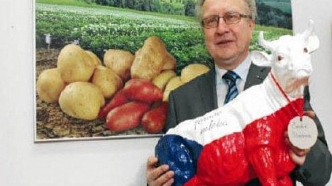 Náhledový obrázek - Jan Veleba: Za ztrátu pozic v Bruselu bude mít zodpovědnost premiér