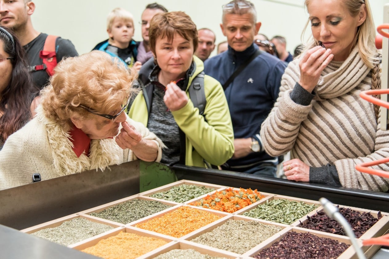 Čejkovické bylinkové slavnosti budou ve znamení kurkumy