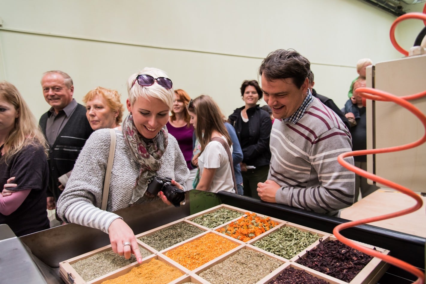 Čejkovické bylinkové slavnosti budou ve znamení kurkumy