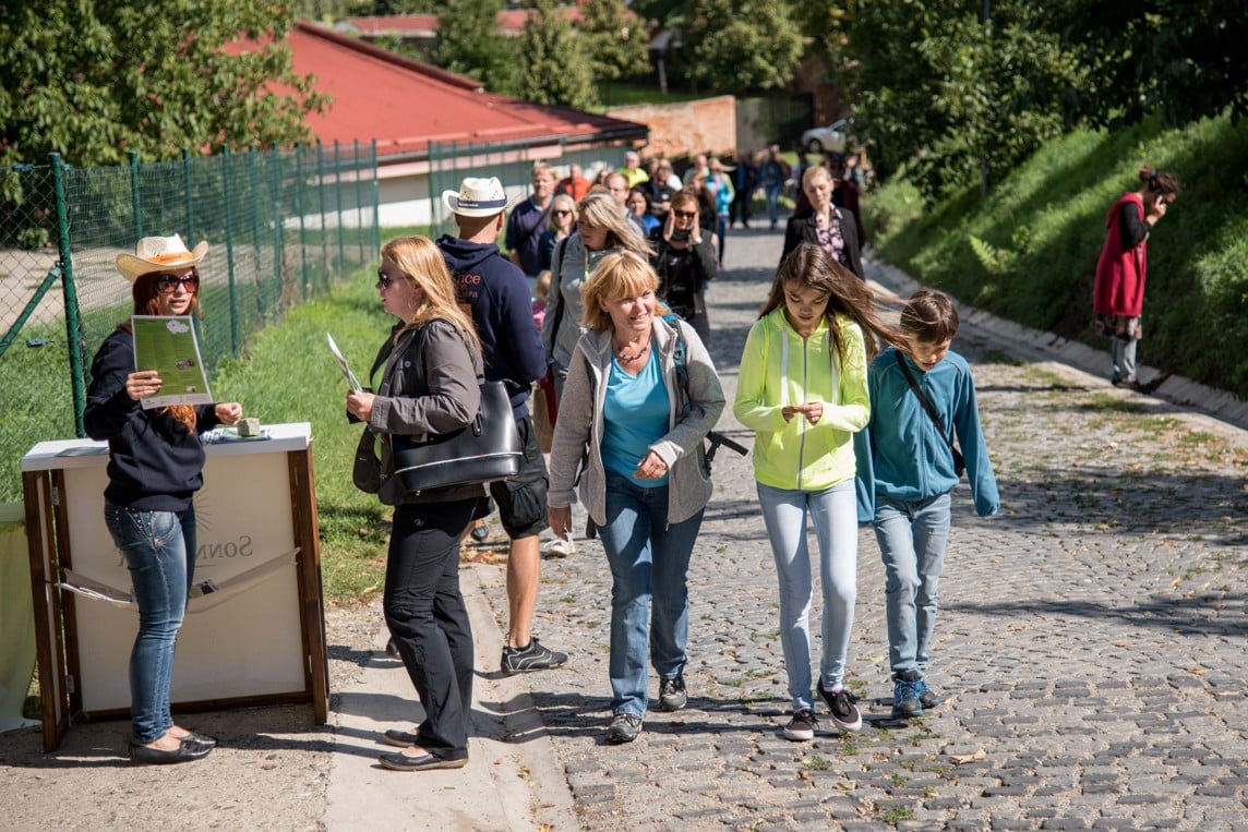 Čejkovické bylinkové slavnosti budou ve znamení kurkumy