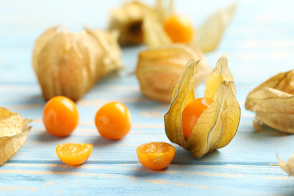 Jak vypadá Physalis?