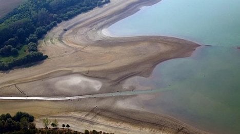 Náhledový obrázek - Toman se letos zaměří na boj proti kůrovci a suchu. Podpora pro lesníky se zdvojnásobí