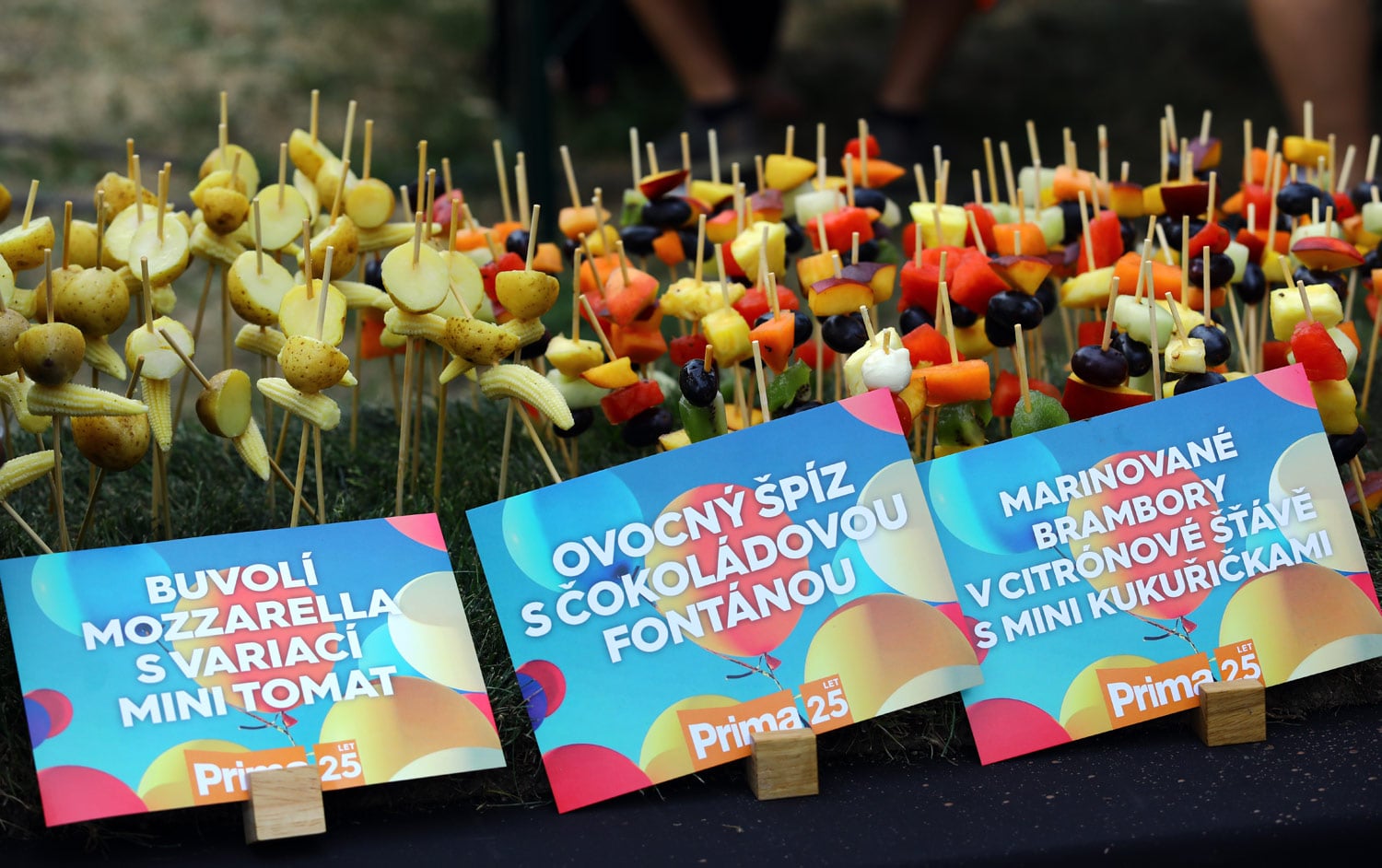 25 let televize Prima