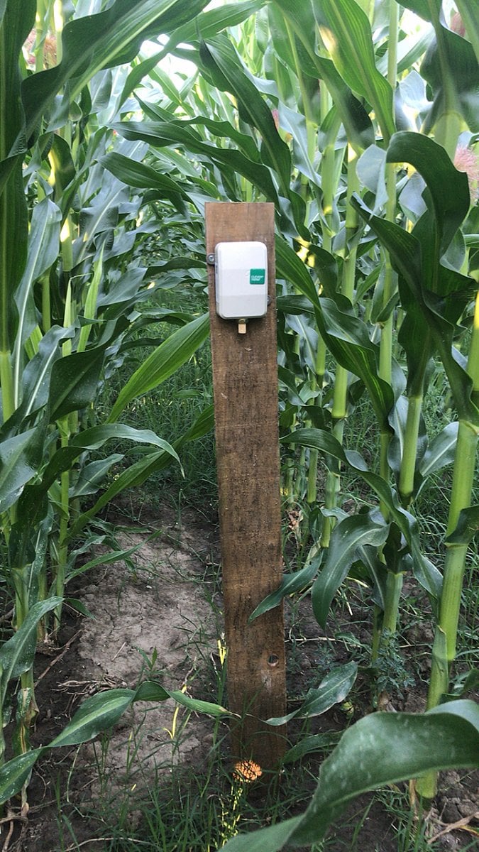 Čeští CleverFarm budují IoT síť LoRa v Srbsku