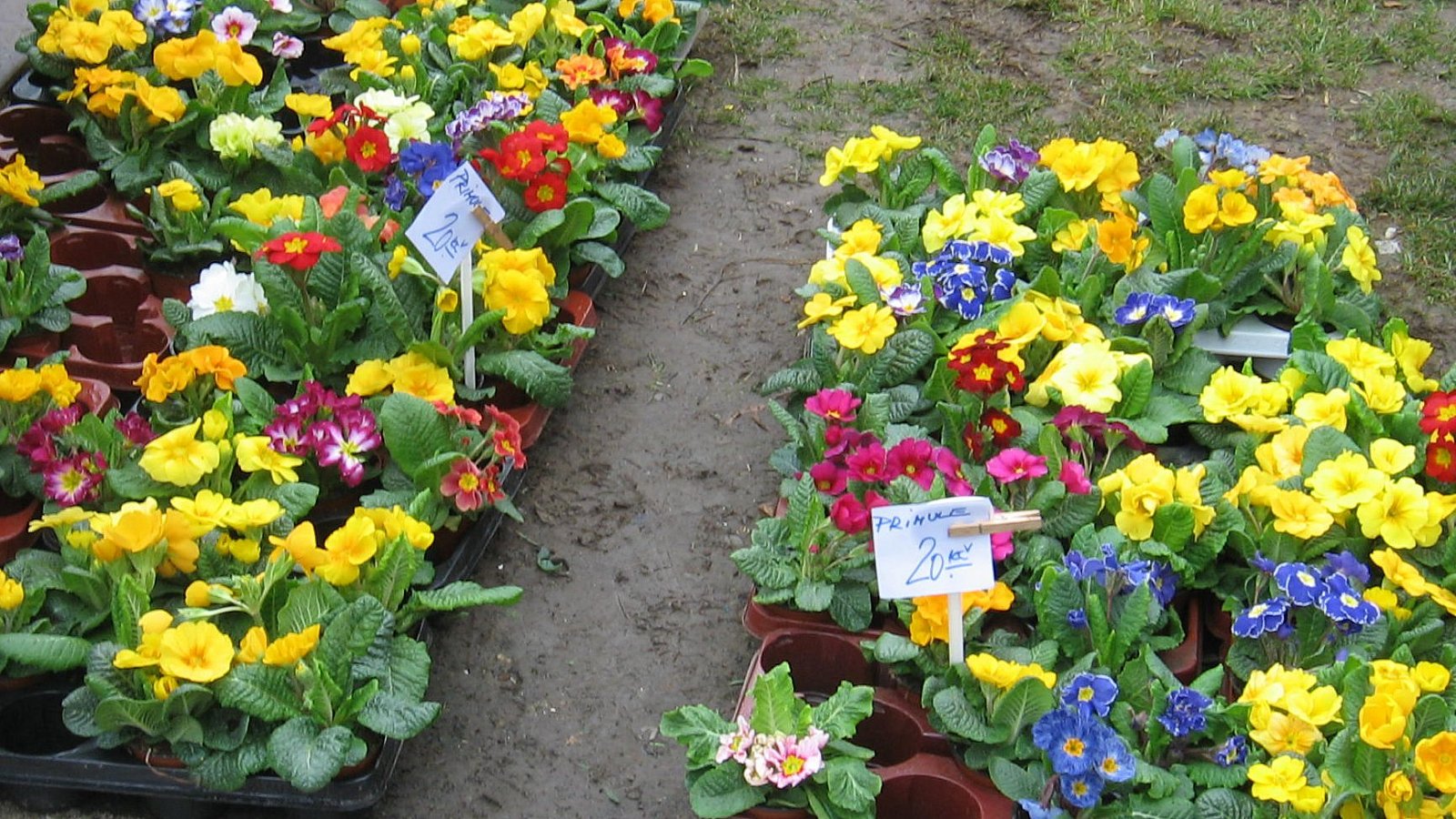 Farmářské trhy na Kulaťáku zahájily sezónu 2013