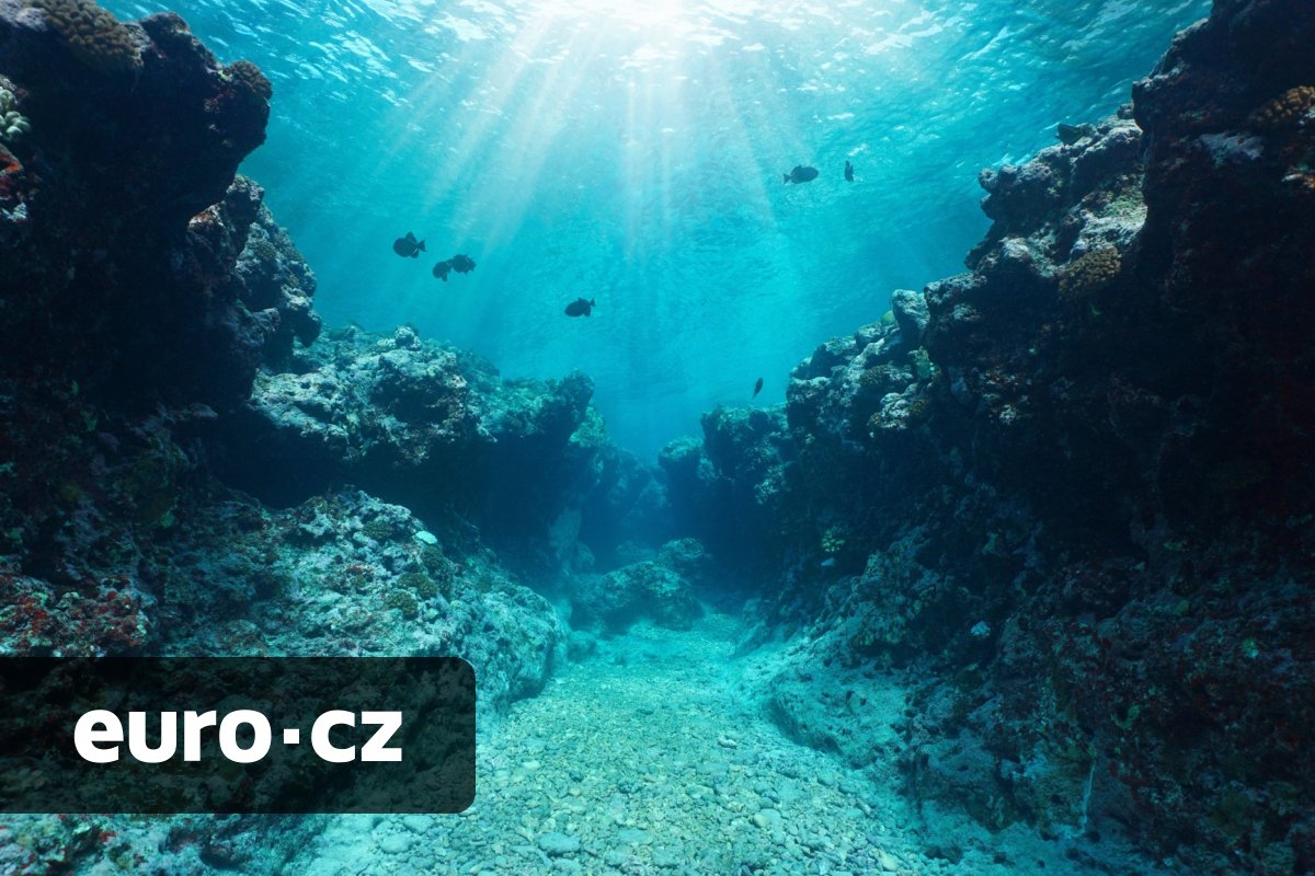 Trumpova posedlost cennými kovy tentokrát cílí na dna oceánů. Ambiciózní plán podmořské těžby ale může mít i vážné geopolitické dopady