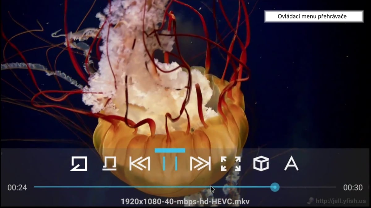 Root Check a Media Centrum
