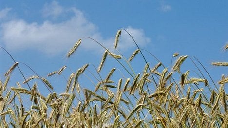 Náhledový obrázek - Policie prověřuje smlouvy Agrofertu se správou hmotných rezerv