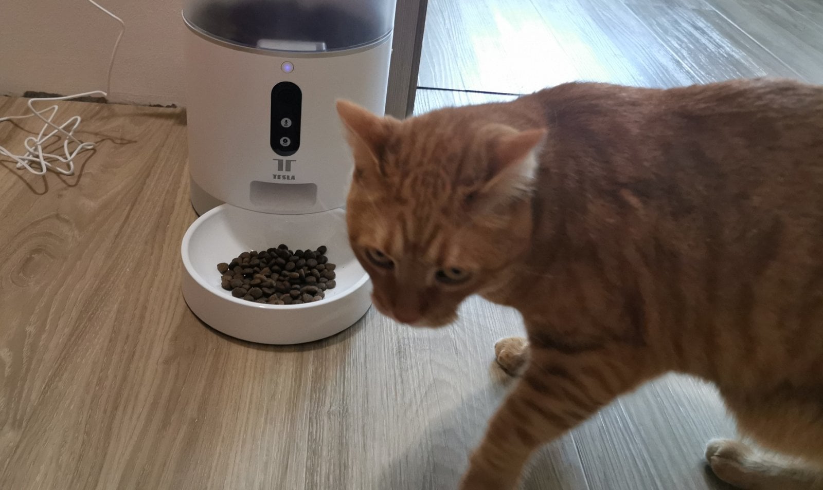 2021-08-Tesla-Smart-Pet-Feeder-Camera-recenze5.jpg