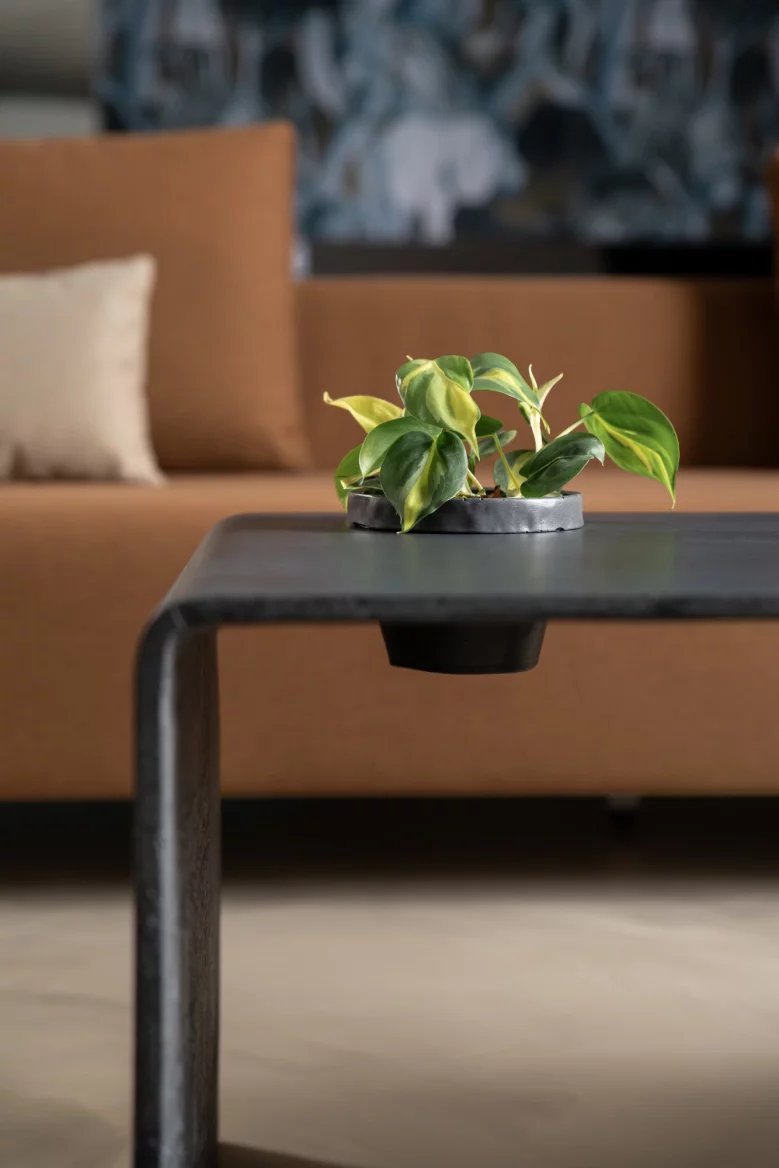 Konferenční stolek s květinou