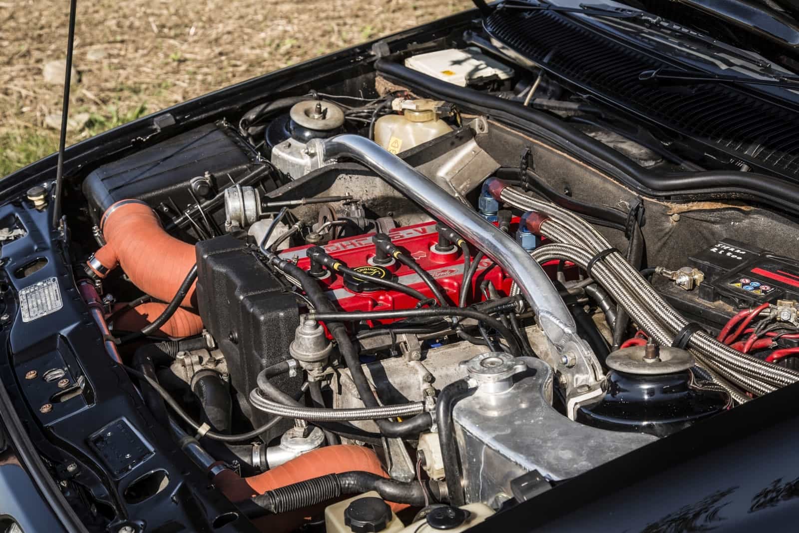 2019-04-RS-16.jpg