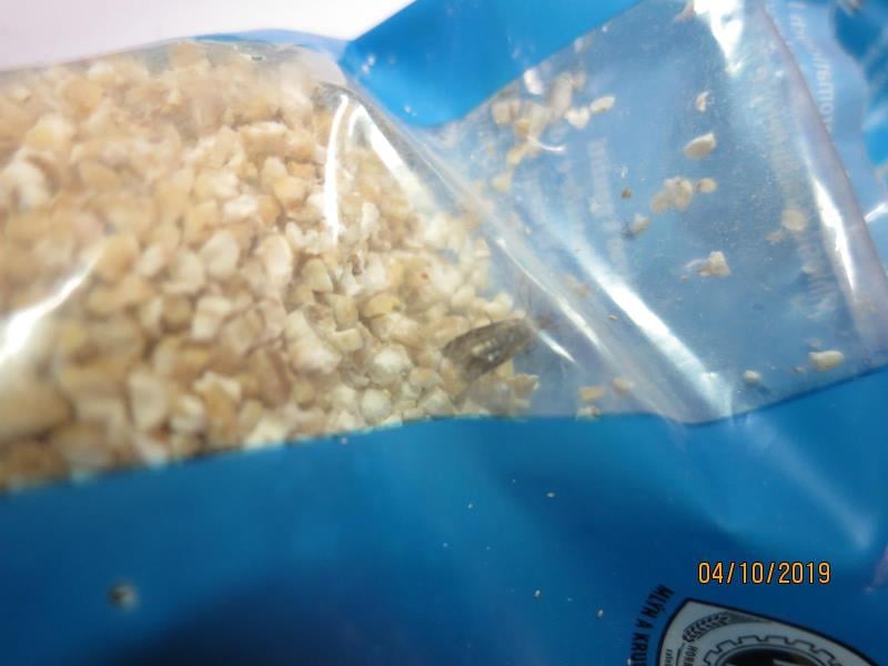 Nebezpečné potraviny - prodejce  Kim Hieu Tran, Potraviny LOTOS, Teplice, obilné výrobky. Uvnitř balení byl zjištěn výskyt živých škůdců. Obaly potravin byly poškozené a znečištěné činností škůdců - pavučinky, zámotky, otvory. Výskyt škůdců byl zjištěn i na provozovně - na regále s potravinami. 
Potraviny měly prošlé datum minimální trvanlivosti.