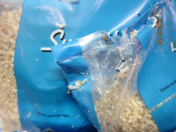 Nebezpečné potraviny - prodejce  Kim Hieu Tran, Potraviny LOTOS, Teplice, obilné výrobky. Uvnitř balení byl zjištěn výskyt živých škůdců. Obaly potravin byly poškozené a znečištěné činností škůdců - pavučinky, zámotky, otvory. Výskyt škůdců byl zjištěn i na provozovně - na regále s potravinami. 
Potraviny měly prošlé datum minimální trvanlivosti.