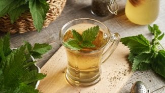 Náhledový obrázek - Kopřivový čaj se v lékařství používá odedávna. Je plný vitamínů, minerálů a antioxidantů