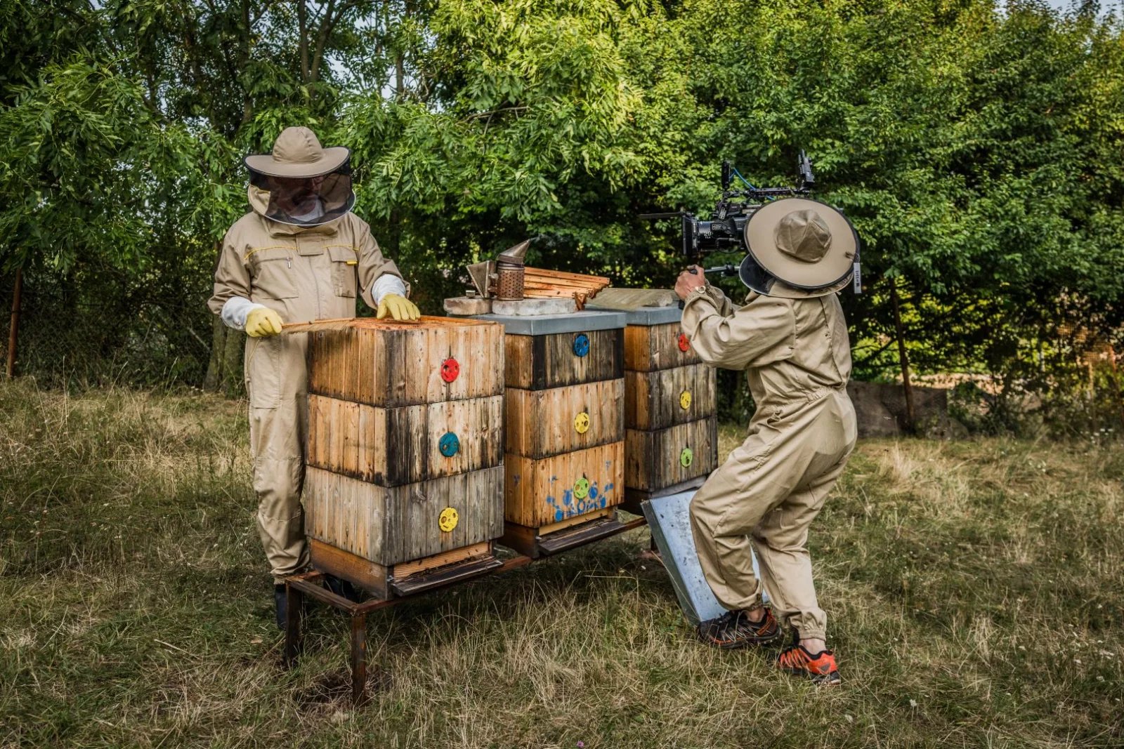 Seriál Vraždy v kraji (2025)