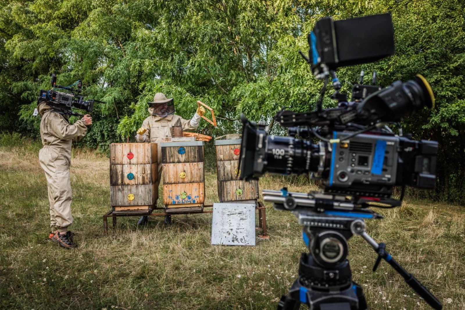 Seriál Vraždy v kraji (2025)