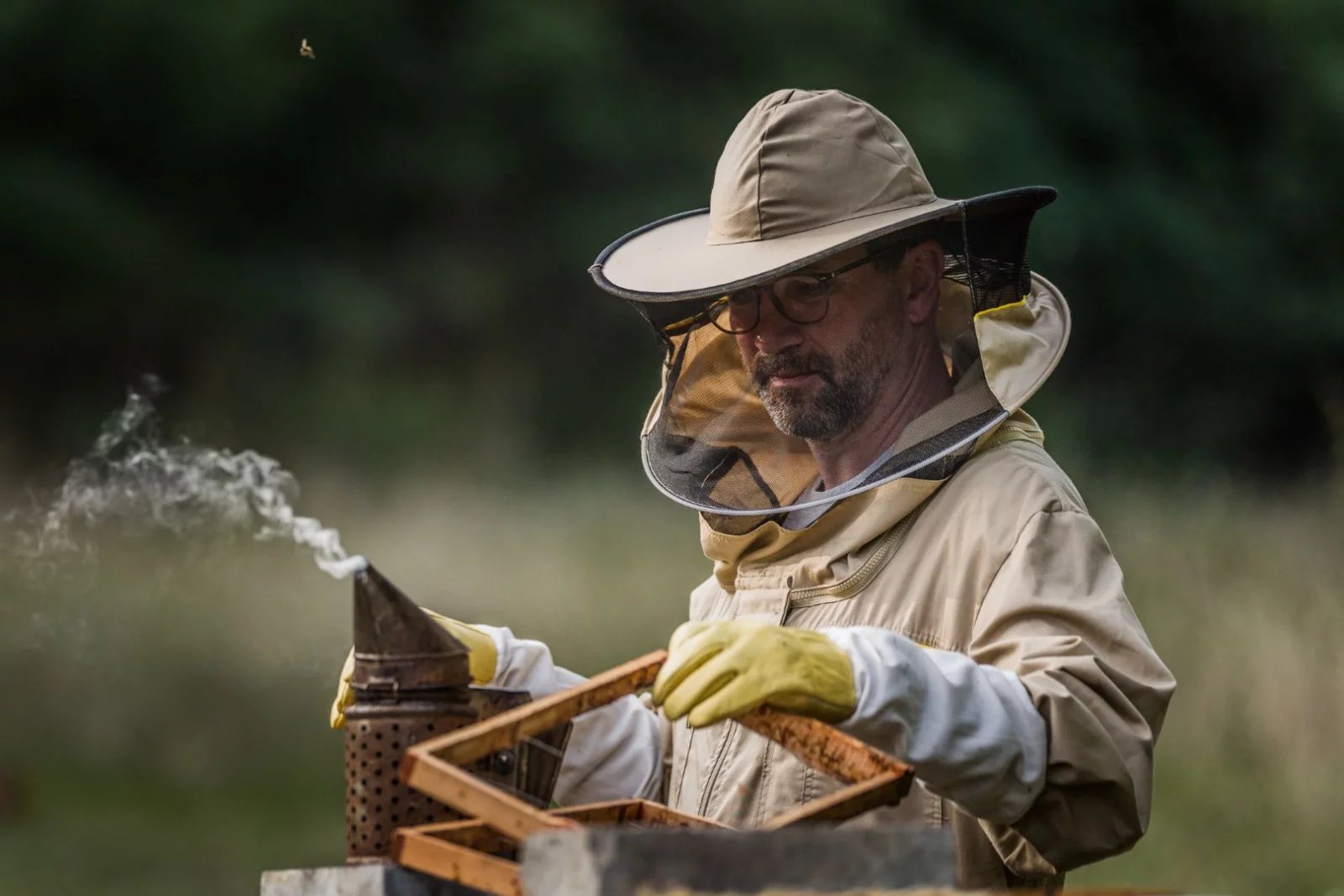 Seriál Vraždy v kraji (2025)